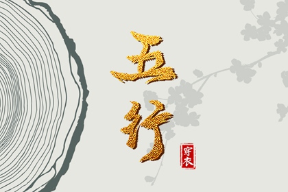 紫星命盘_天机文墨紫微斗数_紫微运势_专业命盘_八字命宫吉凶排盘